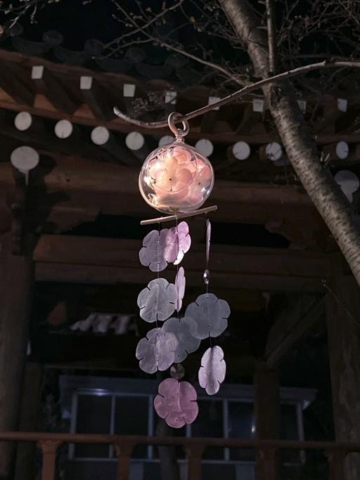 🌸 4월의 밤 벚꽃 🌸