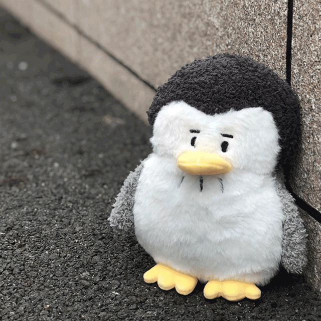 [오늘만할인!/주문폭주!]아이러브 펭귄뚱 패밀리 모찌 쿠션 방석 베개 애착인형 집들이선물 수면인형