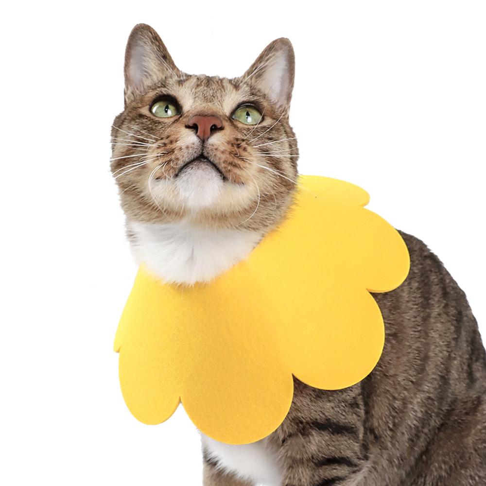 고양이 강아지 쿠션 넥카라 애견 깔대기 목보호대 블라썸 펠트 넥카라 옐로 XS