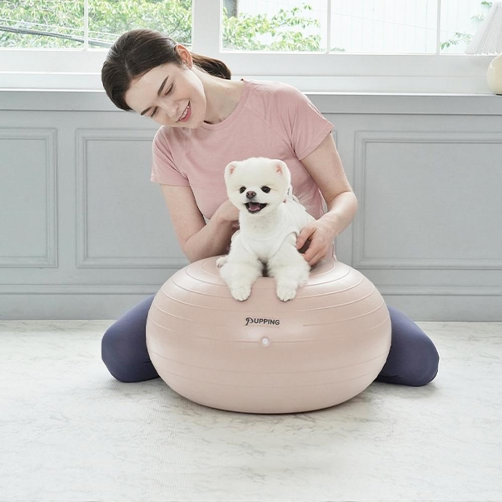 퍼핑 강아지짐볼 운동기구 홀더 애견 밸런스볼