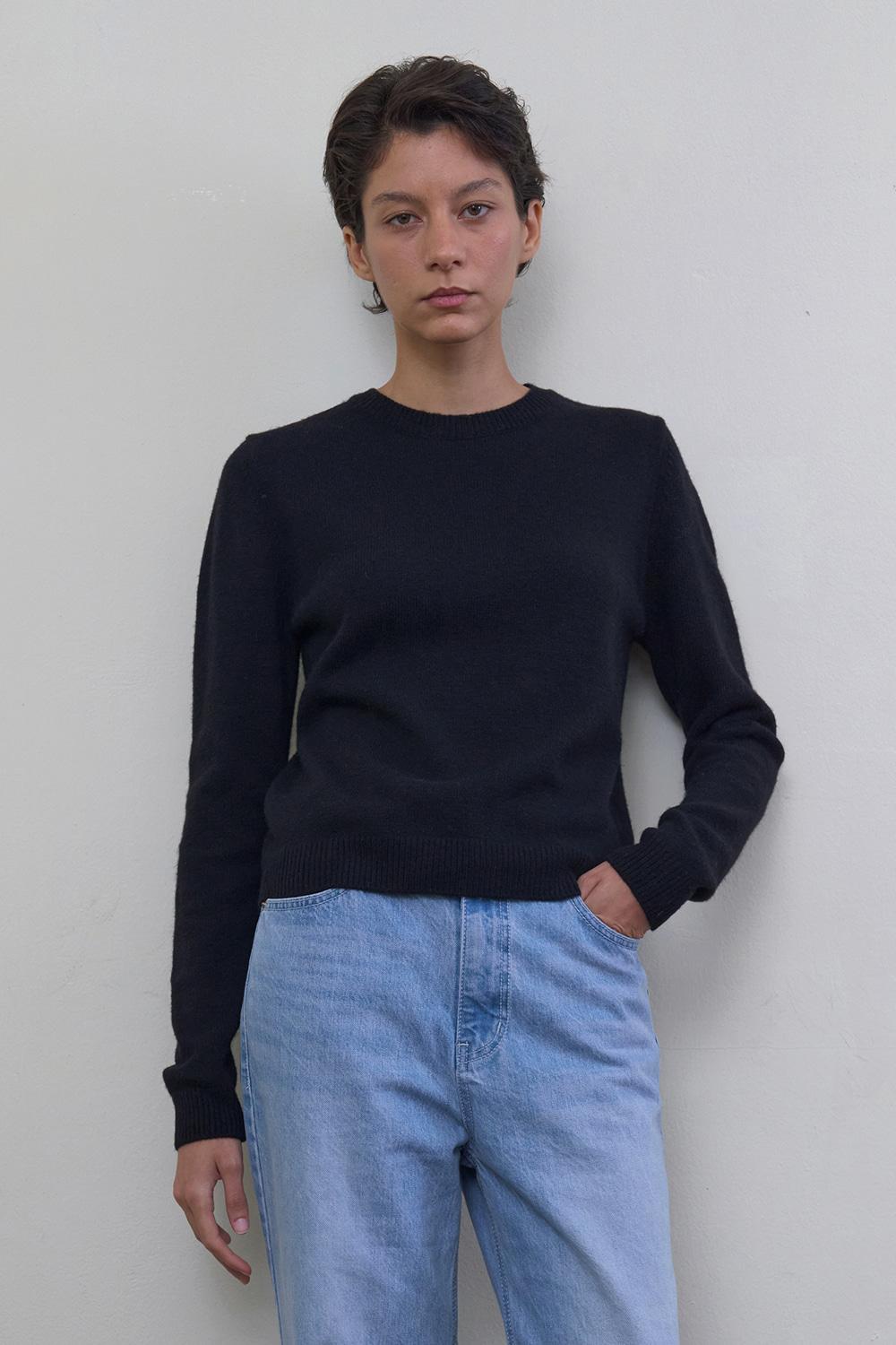 Regular-Fit Round Neck Knit_Black