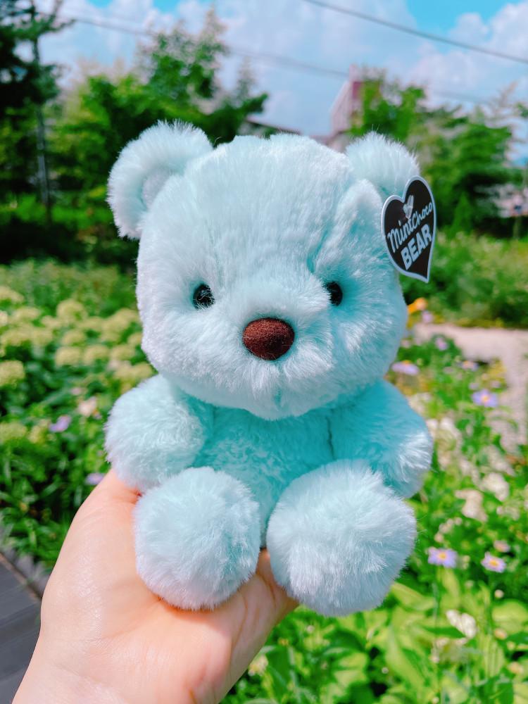 [ONLY lollipony] 호불호 없는 민트초코 곰돌이인형 귀여운 곰인형 15cm 인형