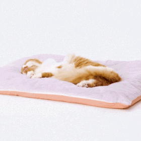 아르르 꿀잠이불  L사이즈 4color 택1