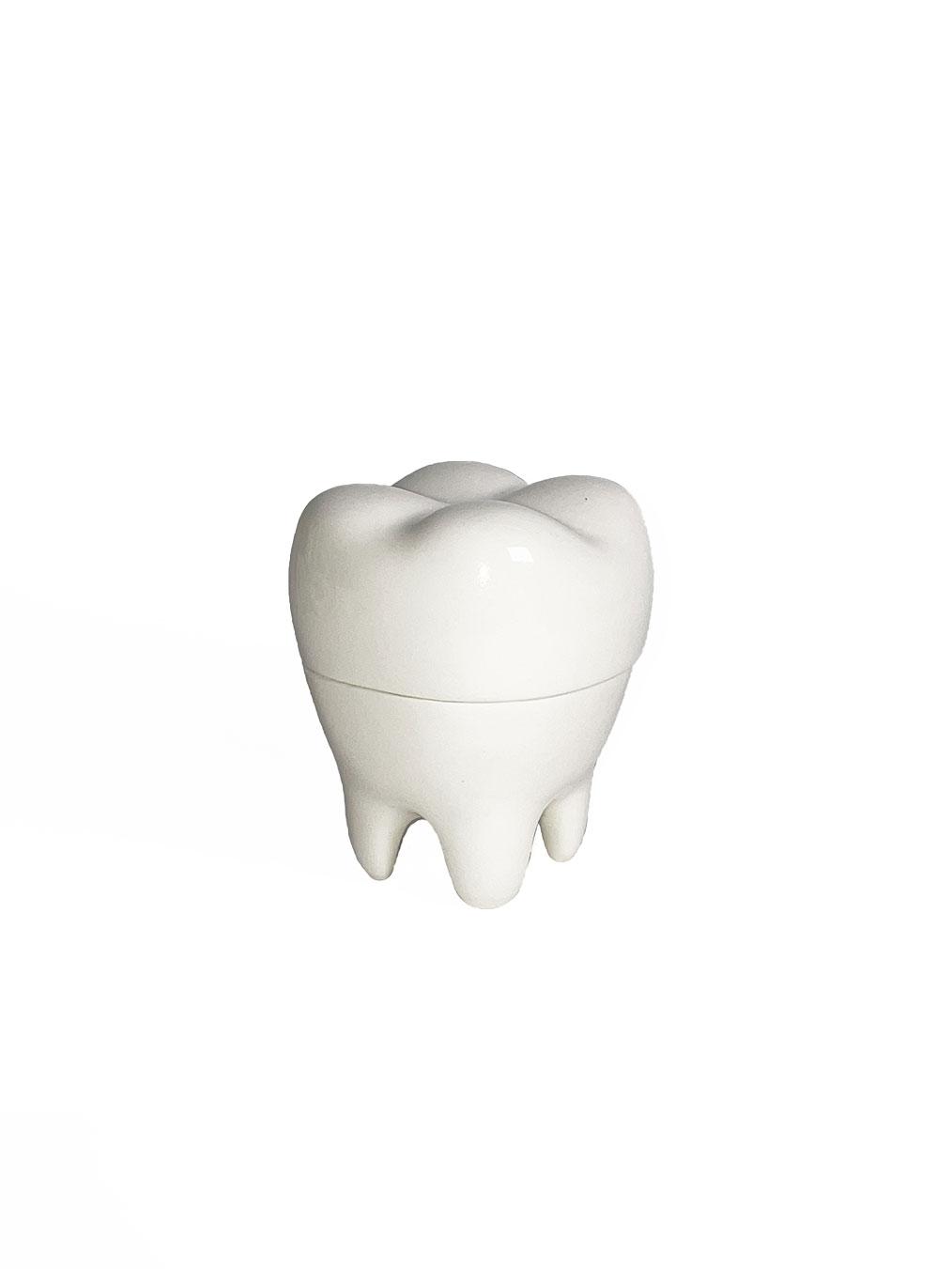 Tooth case Pre-order