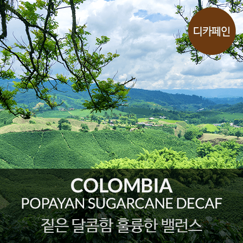 콜롬비아 포파얀 슈가케인 디카페인