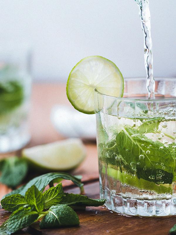 유칼립투스 & 스피어민트 (BBW Type)