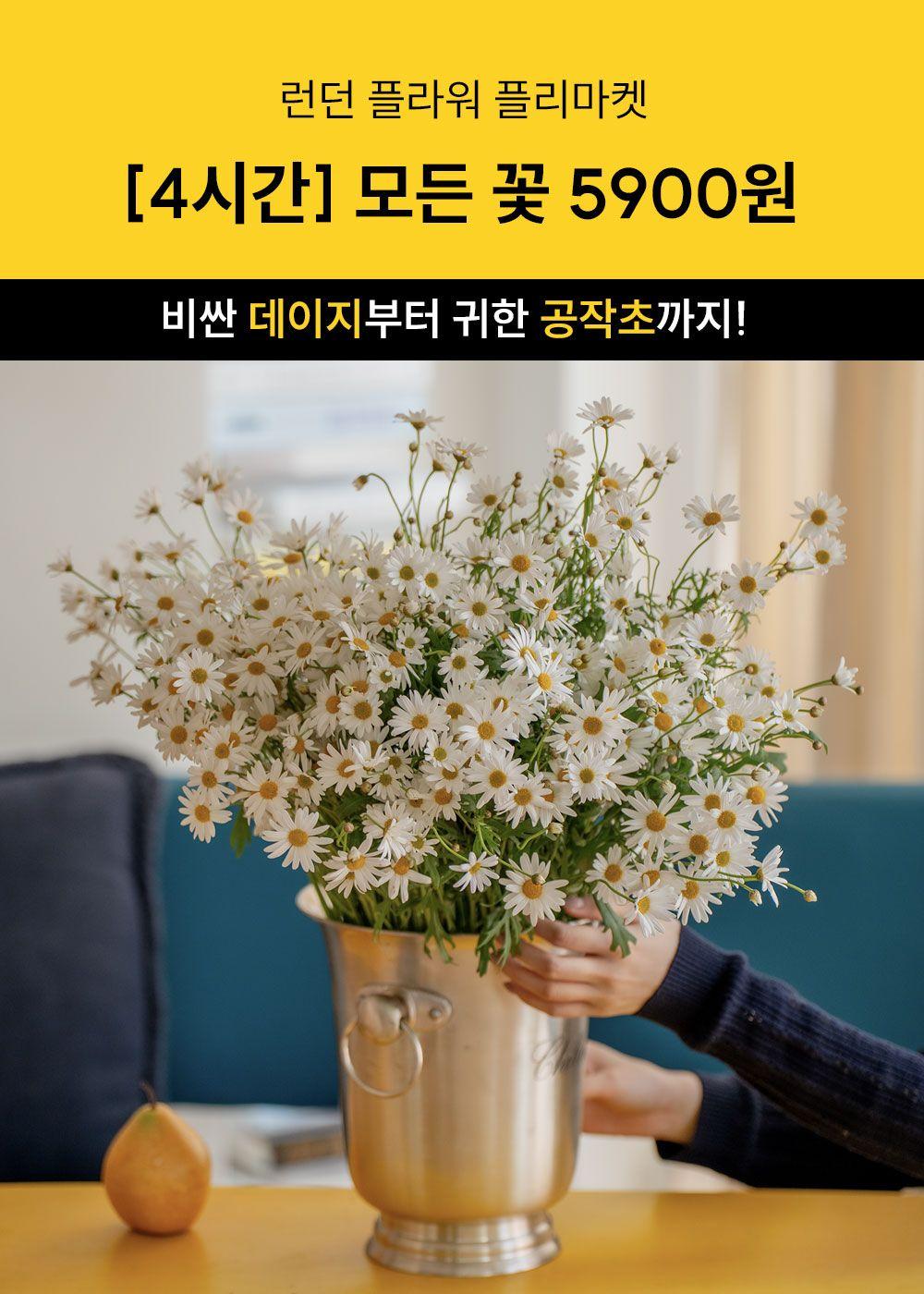 ■ [런던 꽃시장] 4시간 동안! 꽃 모두 5900원! 무조건 담으세요!