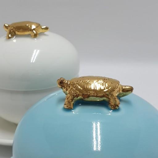 황금 거북이 1인다기 선물세트