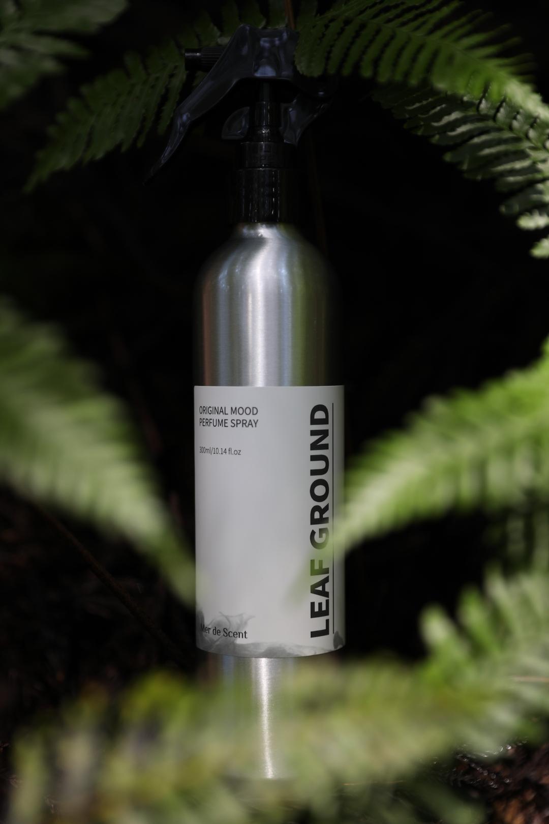 메르디센트 무드 퍼퓸 바디스프레이 리프그라운드 300ml