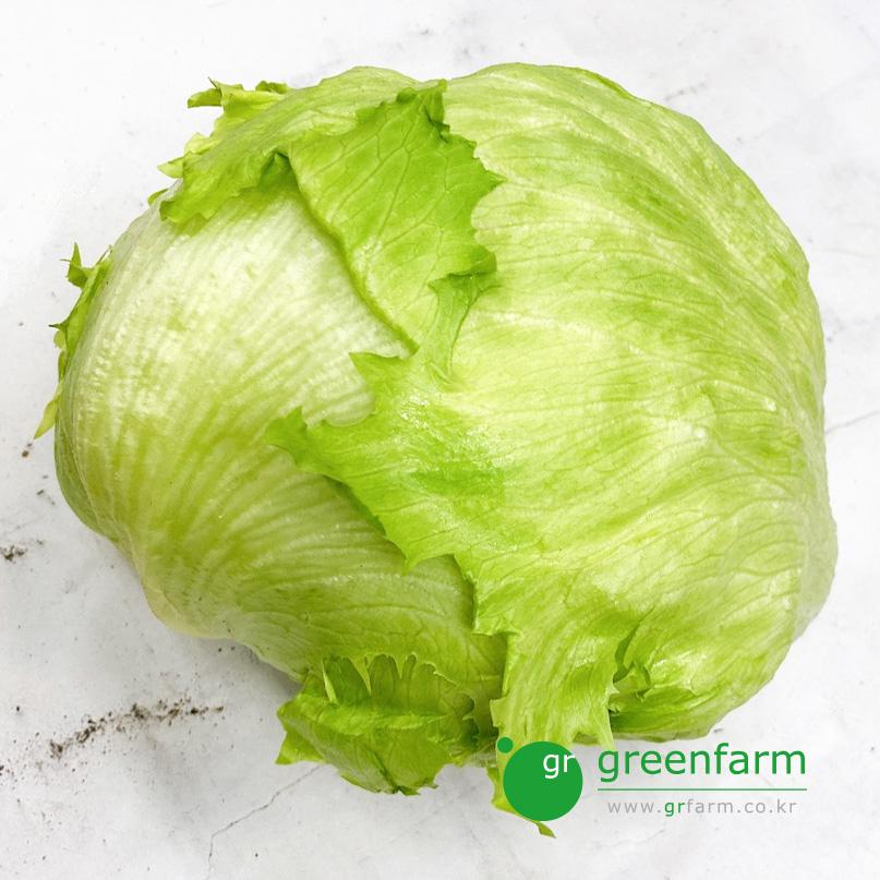 양상추 1통  (약550g)