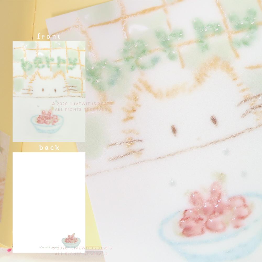 ⁞ 엽서 ⁞ berry lover cat