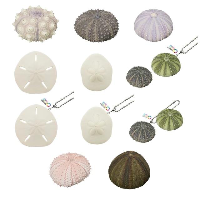 일본 IKIMON 가샤폰 캡슐 장난감, 해물 펜던트, 테이블 장식품 장식, 우친 아칸토시스 동물 껍질