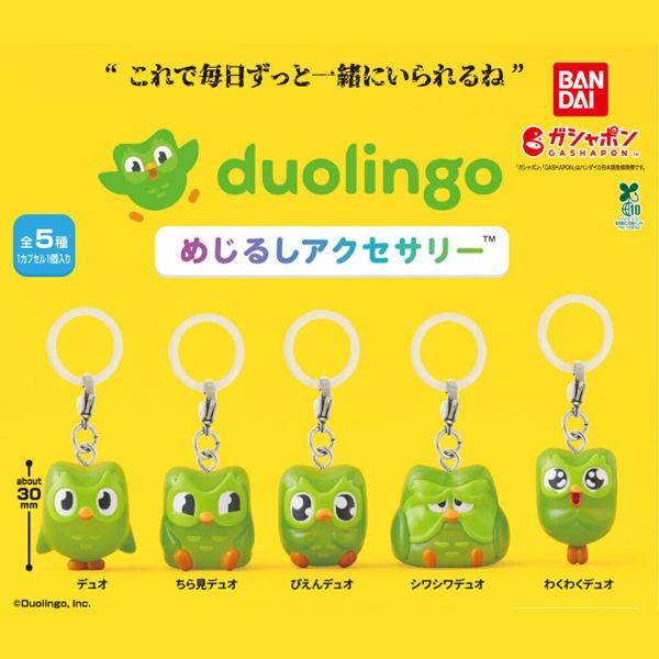 [★26년6월일본발매예정★] 재판 듀오링고 메지루시