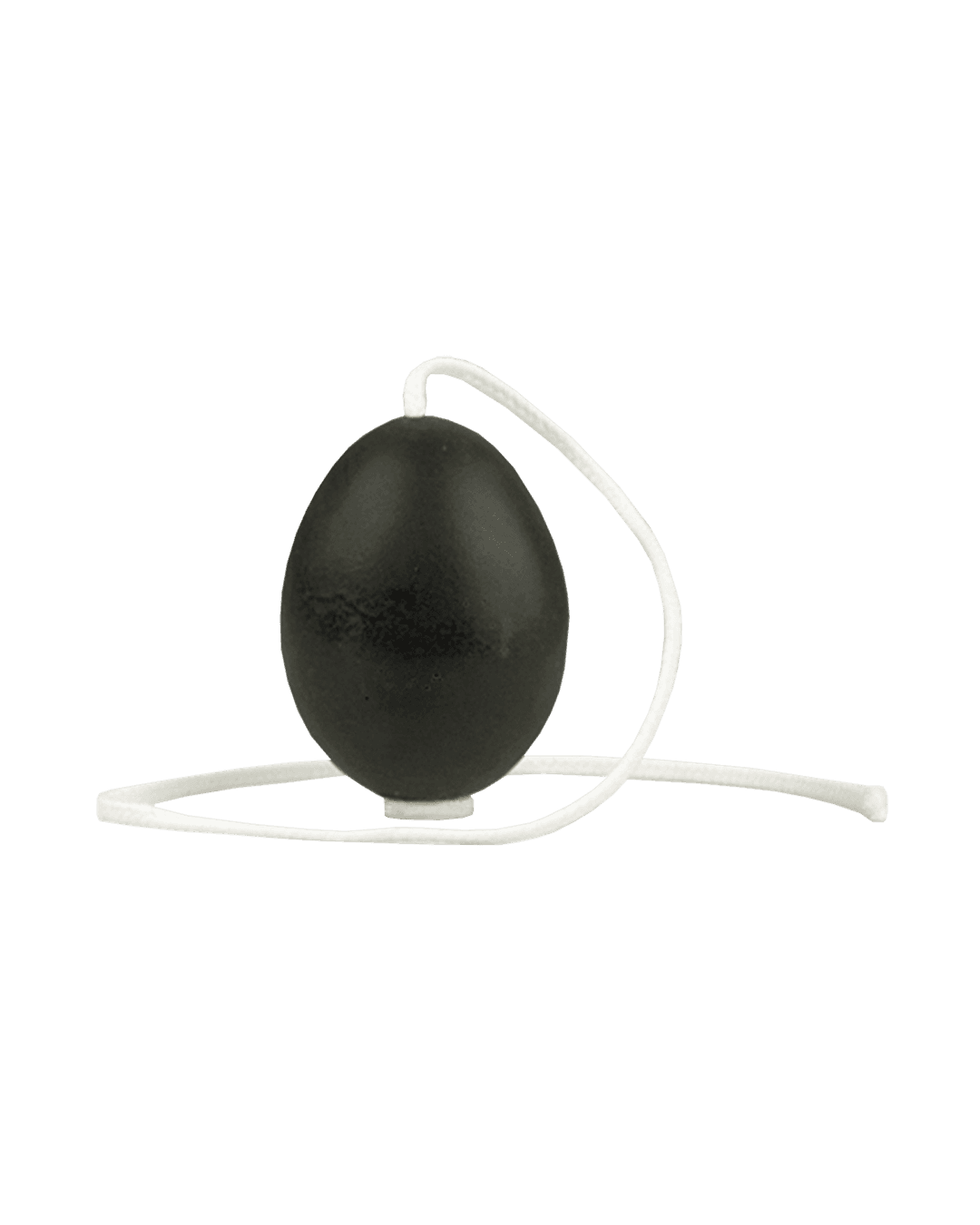 Egg Goose Candle Black