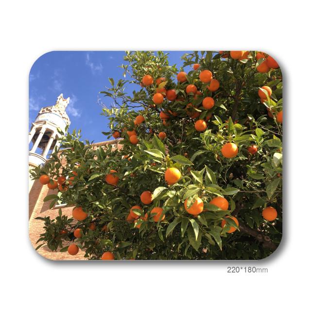 [마우스패드] Orange 오렌지 스페인 바르셀로나 봄 상큼한 모던 디자인 데스크 홈