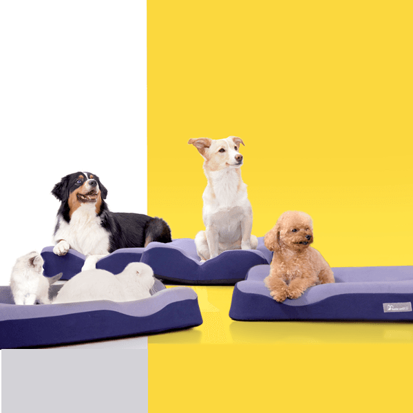 수퍼세일 펫베드