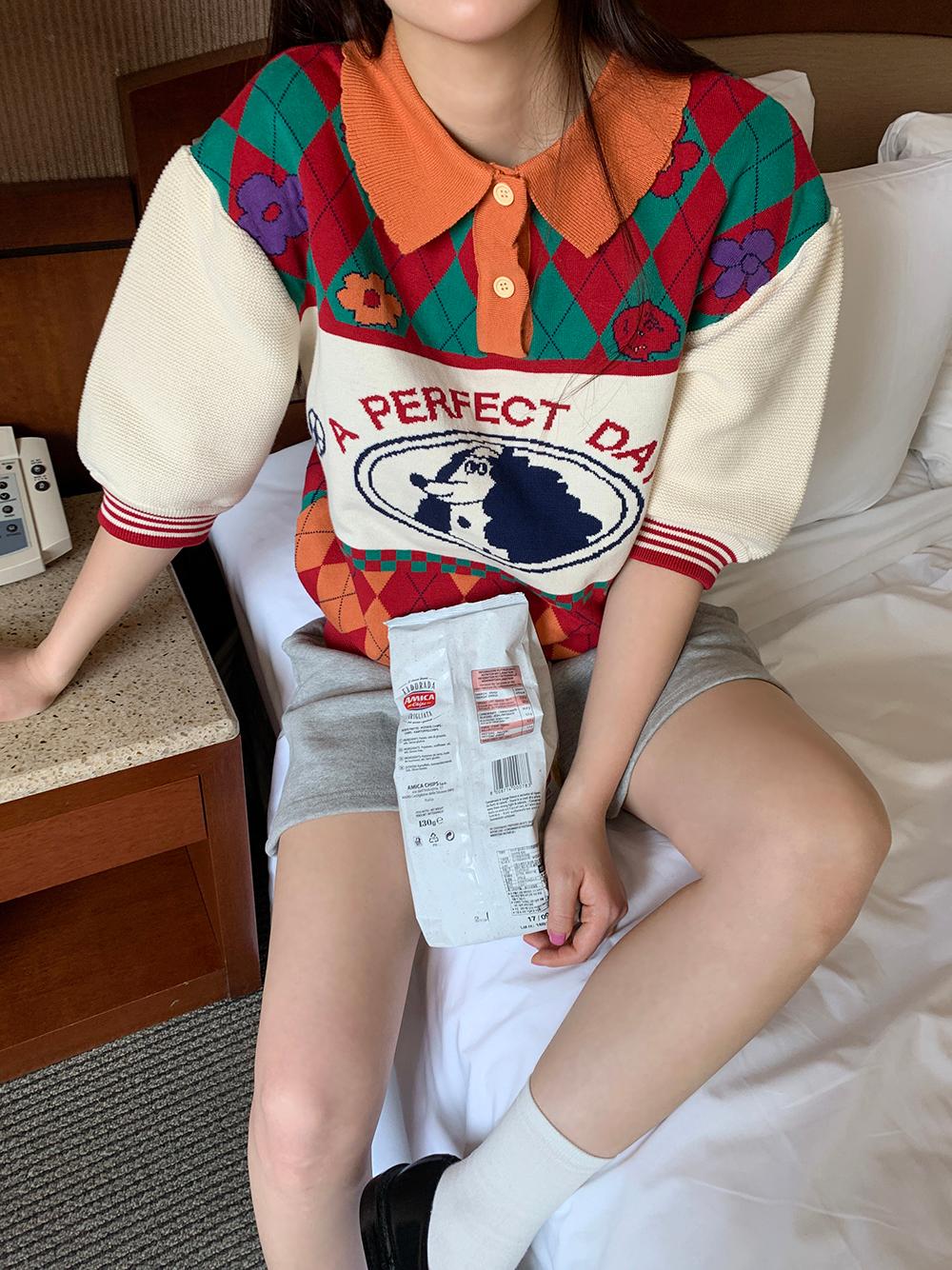 ☆한정☆ 아가일 플라워 카라 반팔니트