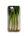 Leek card case