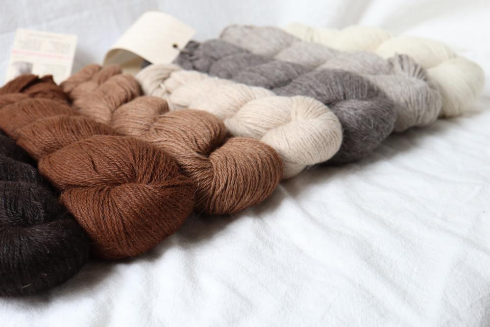 [ ILLIMANI ] Eco Llama - 에코 라마 100g