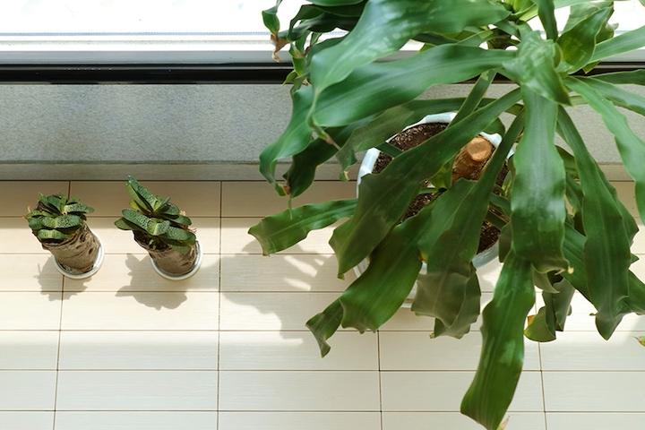 [주말특가] 틈이 촘촘한 조립식 데크타일 9가지 다양한 컬러 4P/9P/18P