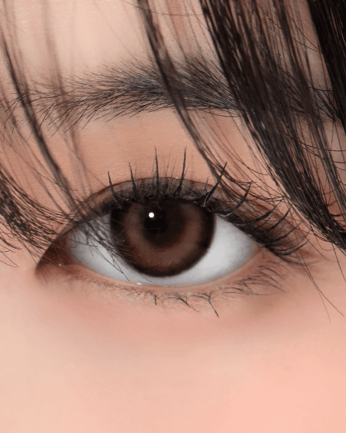 [원데이] 위드 베이직 베이지