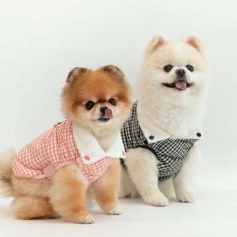 [포글][하네스 패딩] 뜨뜨패딩 2종(택1)