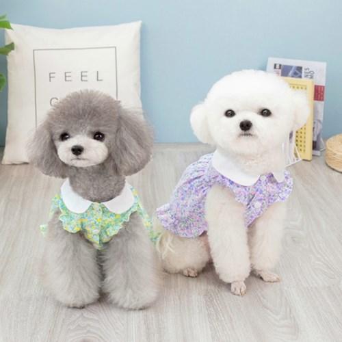 플라워 카라 원피스 강아지 여름 옷 드레스 프릴