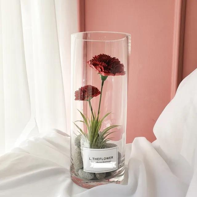 미세먼지 먹는 카네이션