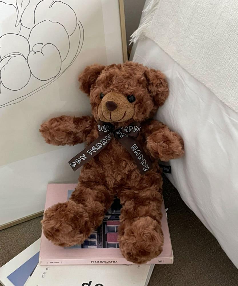 [12월 중순입고] 테디 곰돌이인형 인형선물 애착인형 곰인형