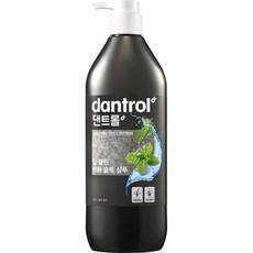 댄트롤 딥 클린 박하 솔트 샴푸, 820ml, 1개