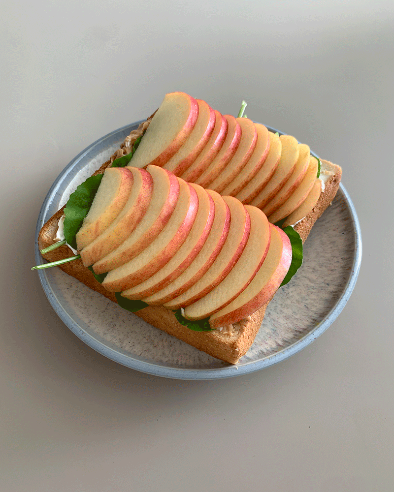 Shooting star plate - M