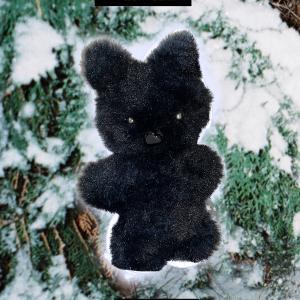 [HAPPiE] Black cat or dog