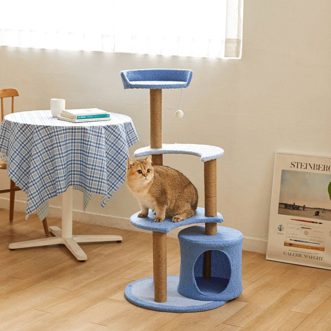 [아듀특가]고양이섬 블루문 3단 캣타워