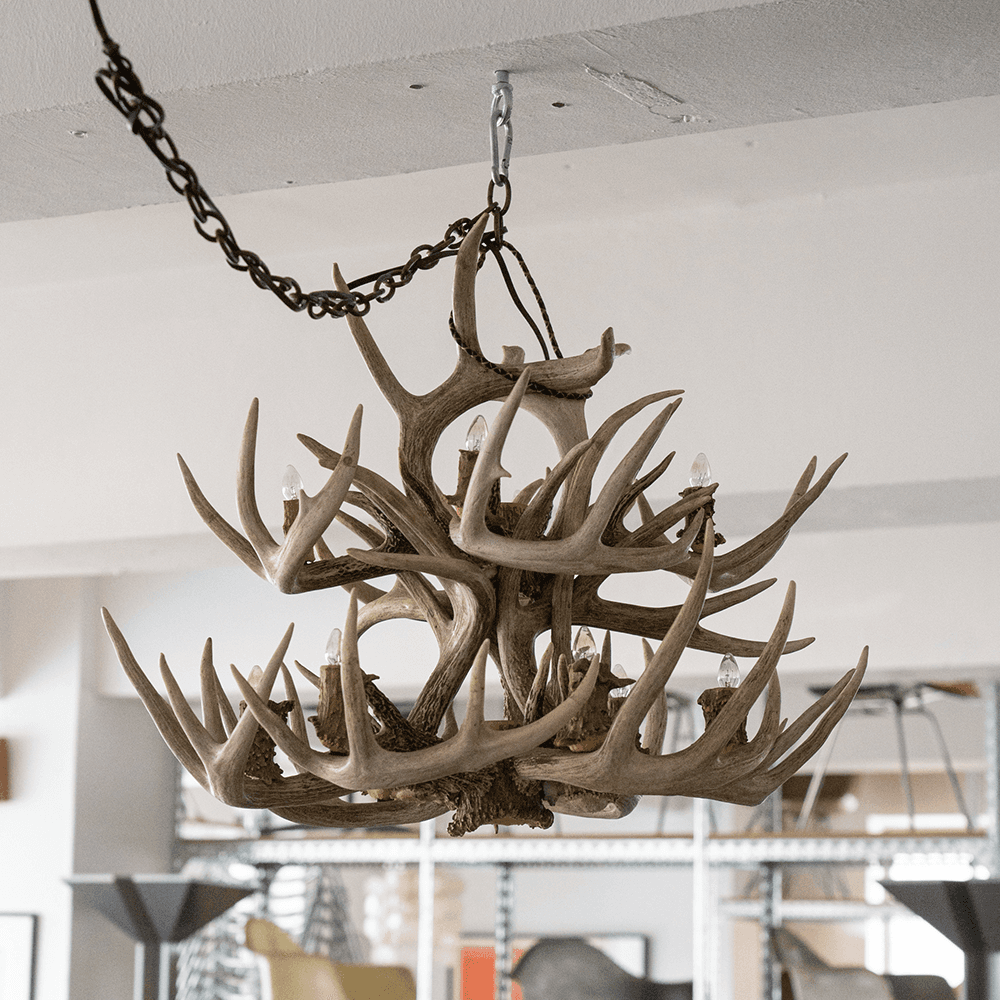 Rustic Antler Chandelier