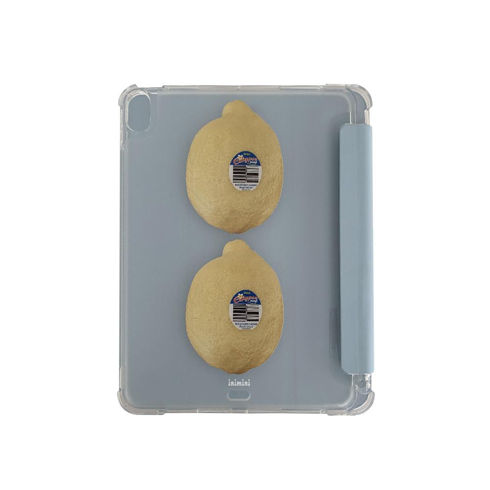 lemon iPad case