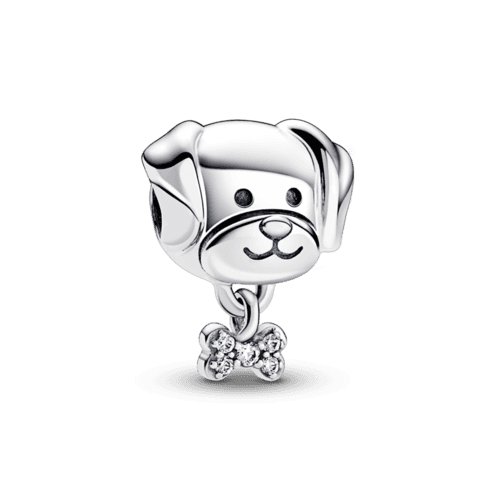 펫 도그 & 본 참