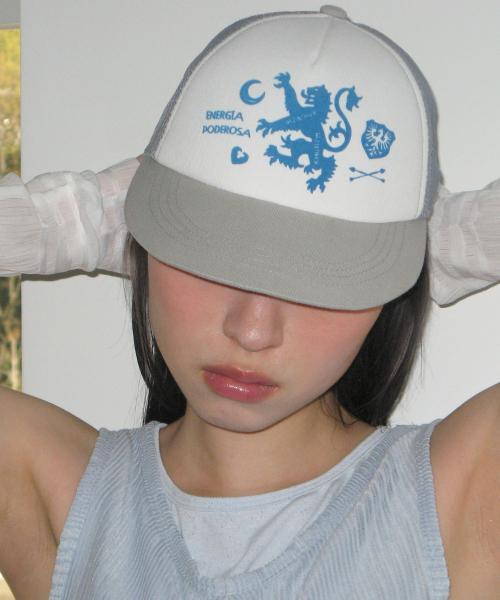 타입서비스(TYPESERVICE)  Graphic Mesh Cap [Gray] - 사이즈 & 후기 | 무신사