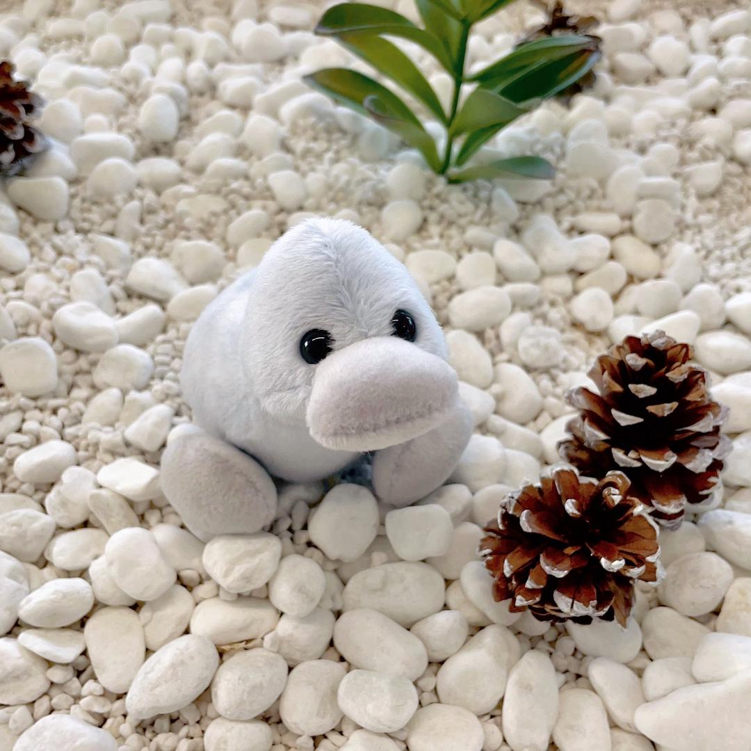 [3color] 12cm Baby Duck