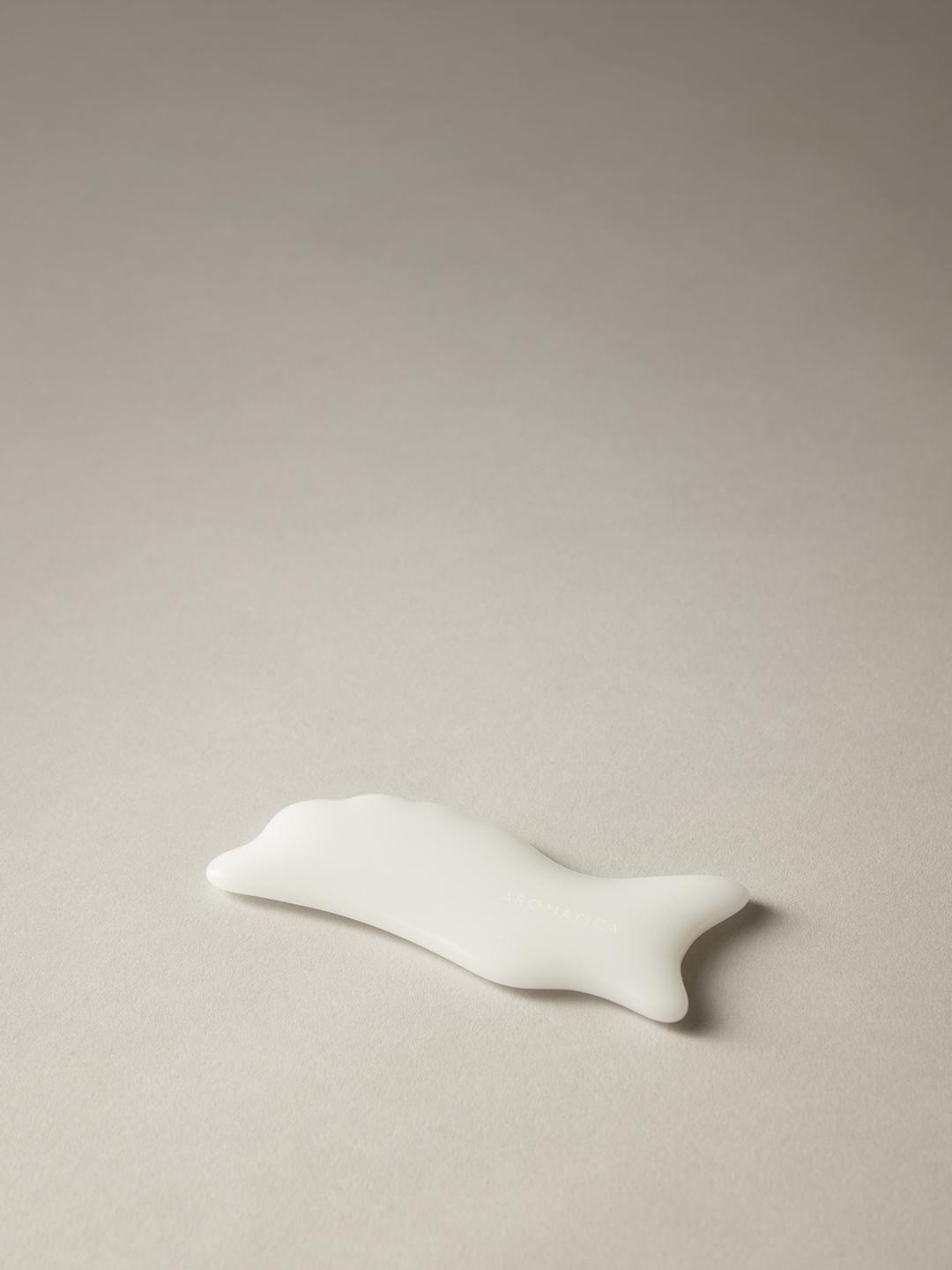 유리 돌고래 괄사