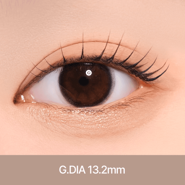 케이트 [ 블랙 ] 1개월용