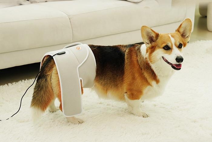 슬개골 따땃망토 프로