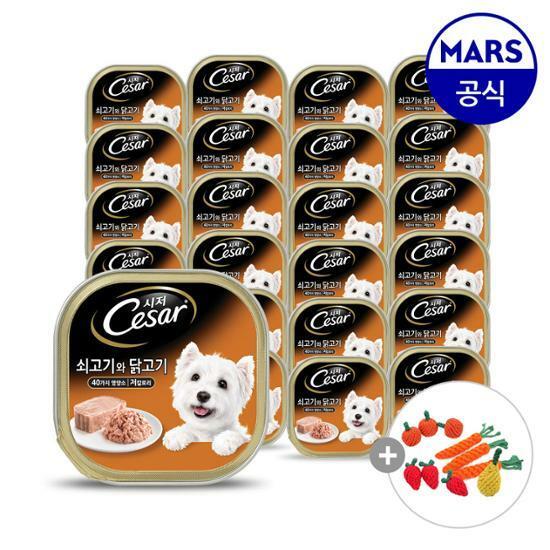 [사은품 증정]시저 강아지 사료 캔 쇠고기와 닭고기 24개입
