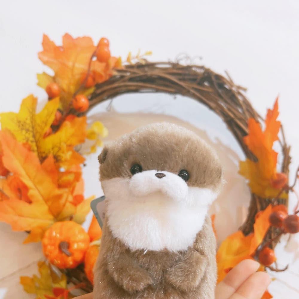 어뮤즈 코게짱 사장님 진갈색 수달 인형 키링 AMUSE