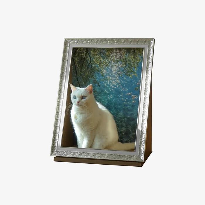 고양이 액자숨숨집