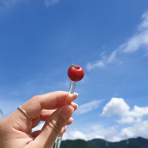 백설공주가 반해버린 사과머들러🍎