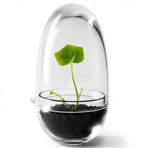 Grow greenhouse