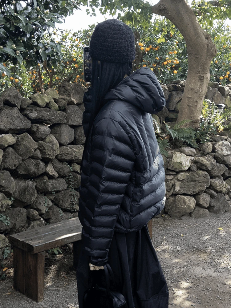 시그니처 아노락 패딩 집업 *1/6 순차 입고