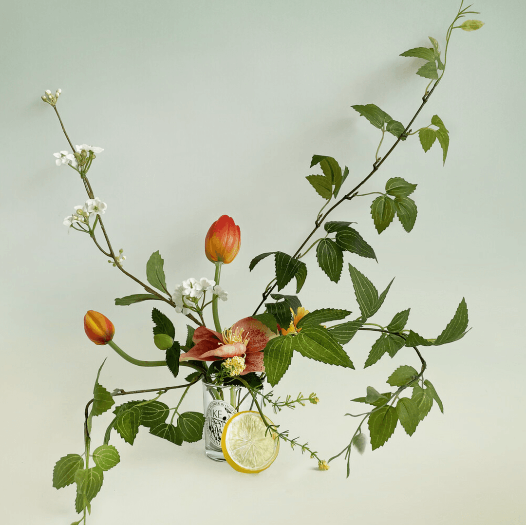 IKEBANA HAUS |  Sun-kissed tulip