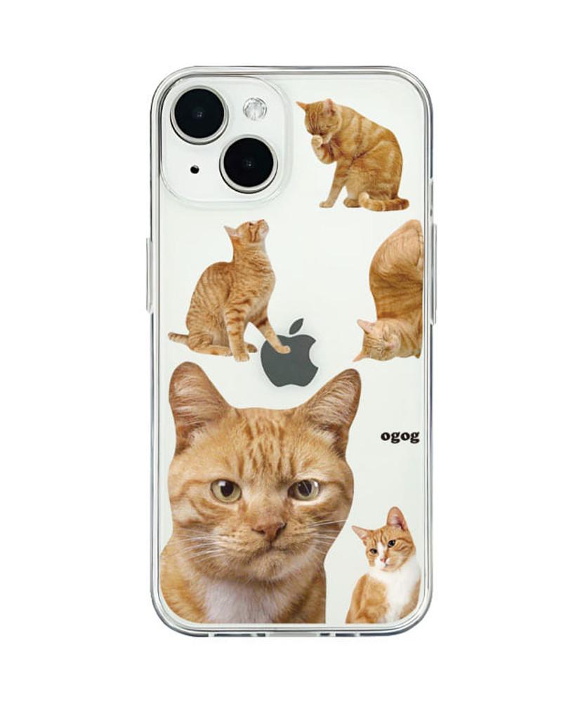 CHEESE CAT 젤리 케이스