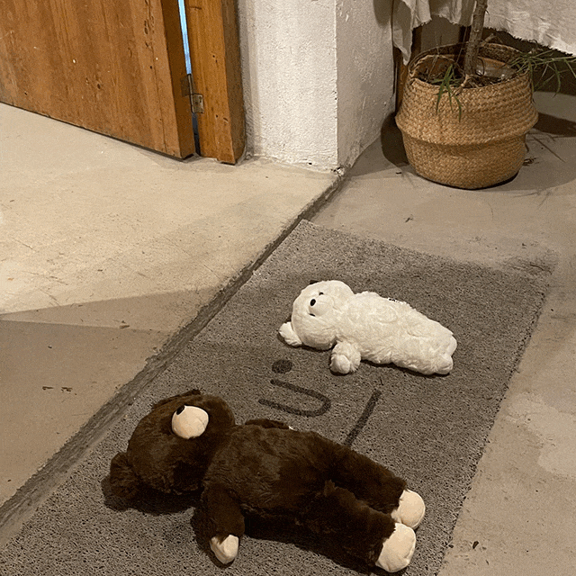 (2size) 루시아이 눕고싶곰 인형 곰돌이 애착 수면 모찌 선물 생일 귀여운 친구 커플 여자친구 남자친구 동물인형 침대